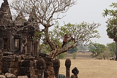 Wat Phu 0081